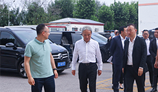 ذ | ɭȫCEO Masahiko Moriһݰabgŷ죬̽δ